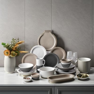 Modello in rilievo Disposable Matte Glaze Plates Set di cena in ceramica moderna di ispirazione nordica