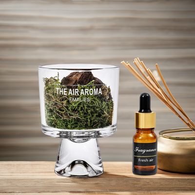 Colore personalizzato Luxury 100ml Moss Reed Diffuser Set con olio profumato ispirato alla natura