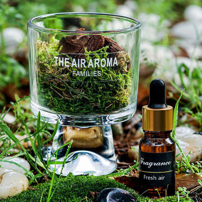 100 ml Difusore di olio profumato di vetro per elegante arredamento domestico regalo di profumo ispirato alla natura