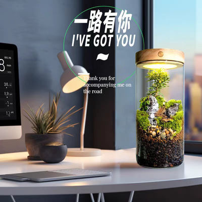 Bonsai e centri commerciali Fibra di vetro Terrari da tavolo con fibre vegetali di brushwood