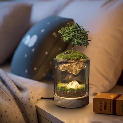 Lampada di serra in fibra di vetro per pavimenti di bonsai moderni / decorazioni di centri commerciali