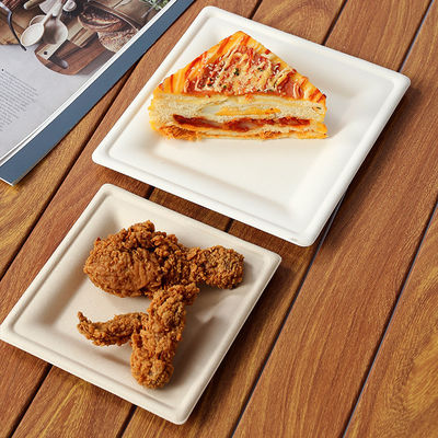 1 pacchetto di piatti di carta per cena usa e getta realizzati con bagasse per l'occasione del ritorno a scuola