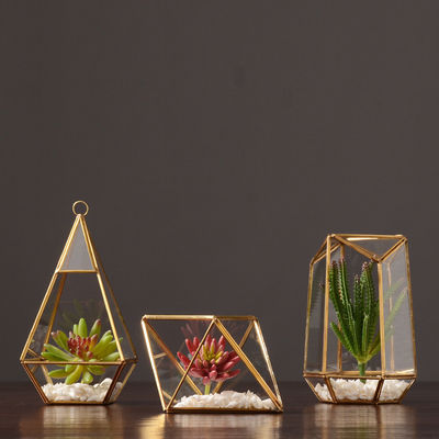 Home Decoration Pieces Luxury Nordic Glass Display Box con margine in ottone Base in legno Logo personalizzato