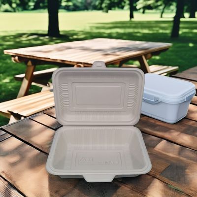Scopo dell'acquirente commerciale Scatole da pranzo in plastica quadrata usa e getta con coperchi di sicurezza a microonde