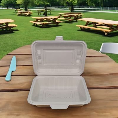 Scopo dell'acquirente commerciale Scatole da pranzo in plastica quadrata usa e getta con coperchi di sicurezza a microonde