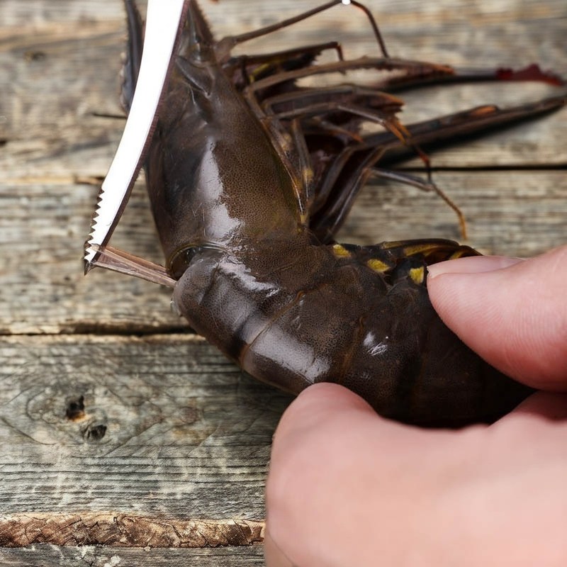 Pulizia rapida dei gamberetti con frantumatori per verdure e coltello per la pancia dei pesci in acciaio inossidabile