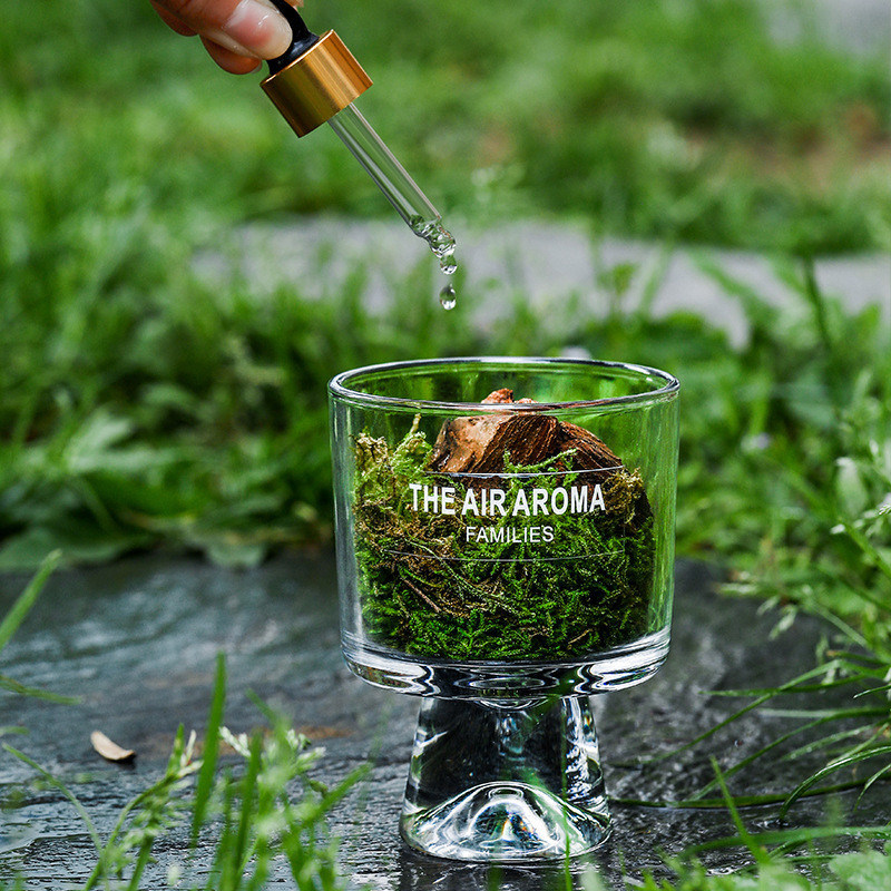 Diffusore di olio profumato creativo per mantenere l'aria fresca